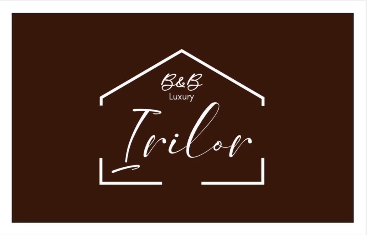 Irilor Luxury B&B Valledoria  Extérieur photo
